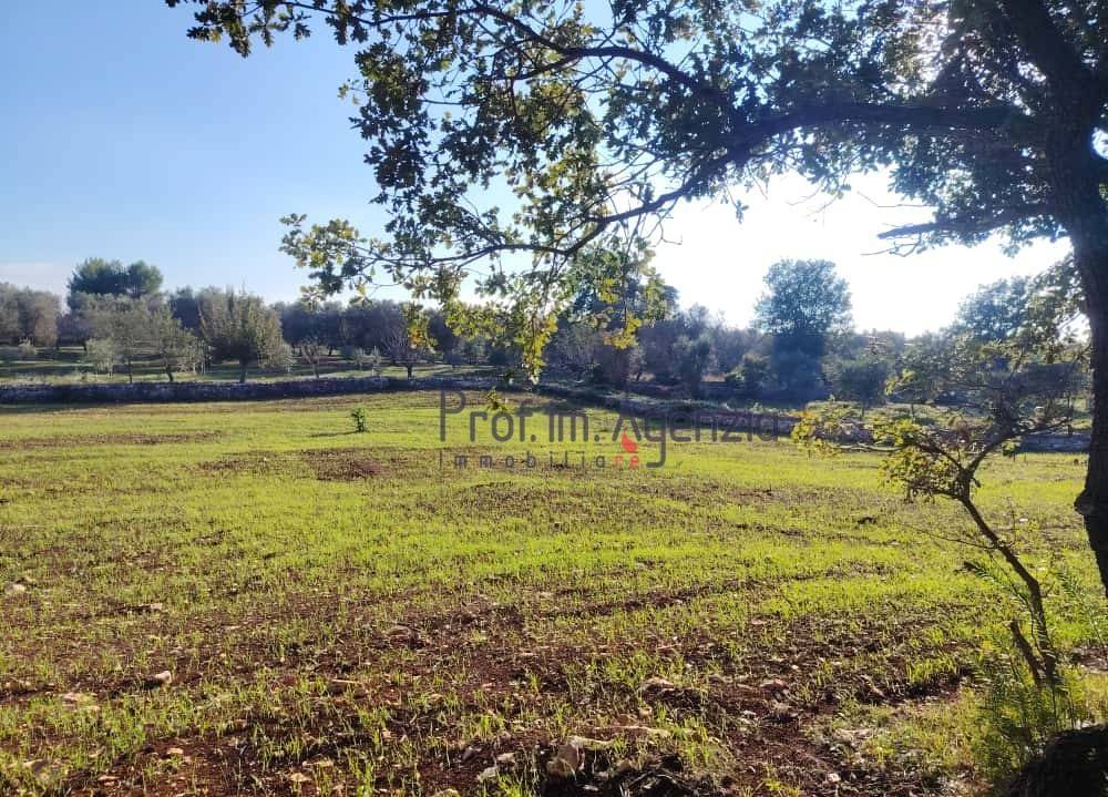 Terreno a Ostuni - Foto 4