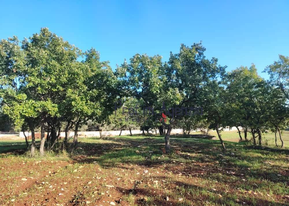 Terreno a Ostuni - Foto 5
