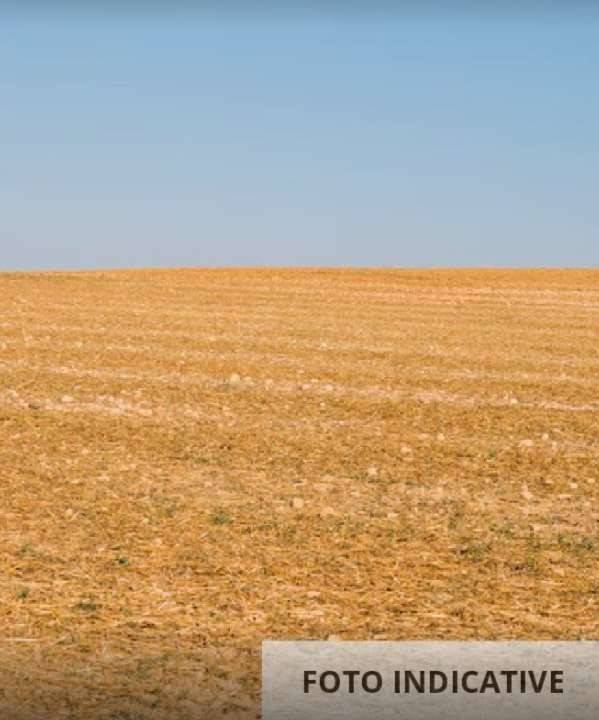 Terreno a Brivio in Brivio - Foto 5