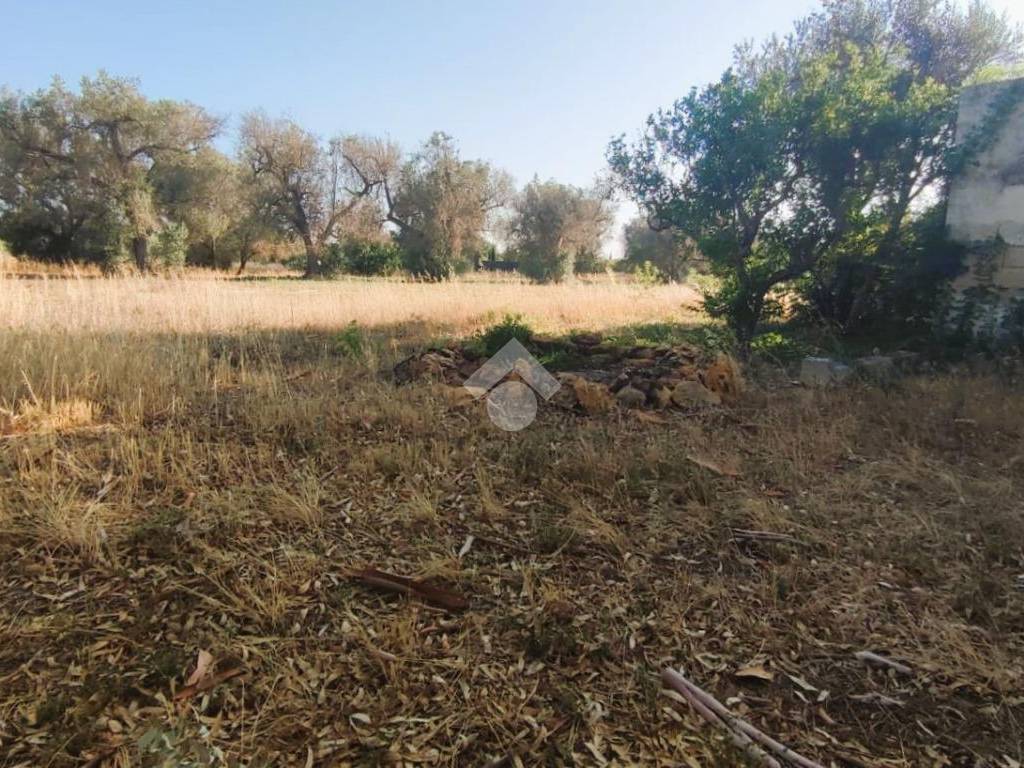 Terreno a Mesagne in Contrada Bosco Colombo - Foto 4