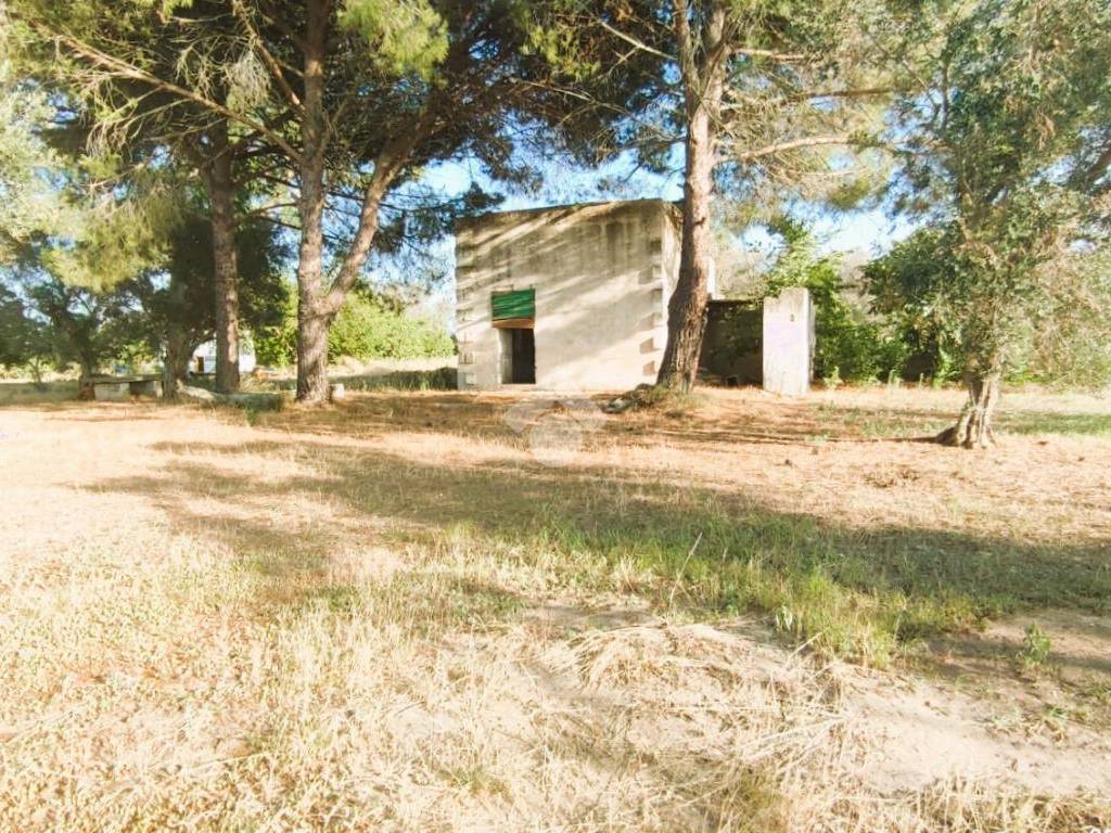 Terreno a Mesagne in Contrada Bosco Colombo - Foto 5