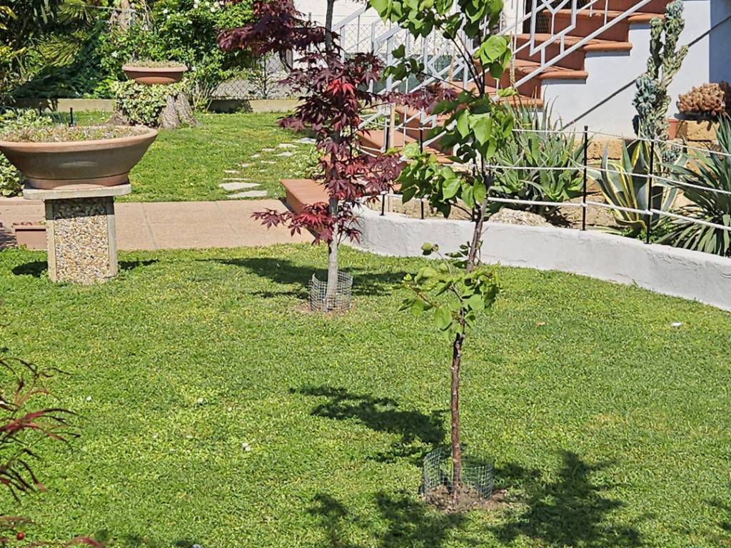 Casa indipendente a Alfonsine in Umberto Ricci, 13 - Foto 5