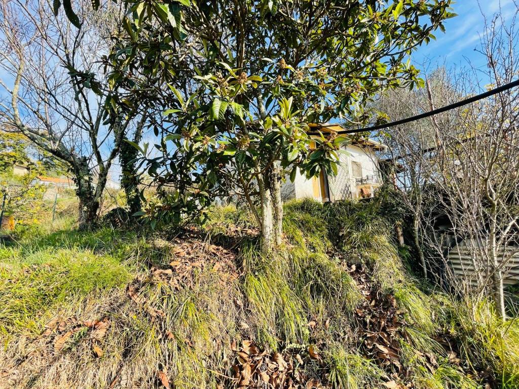 Terreno a Arcola in Via Vissano - Foto 4