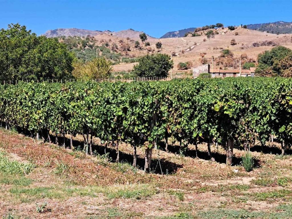 Immobile a Castiglione di sicilia - Foto 5