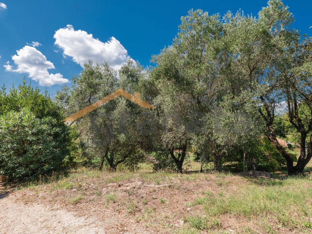 Terreno a Bracciano - Foto 4
