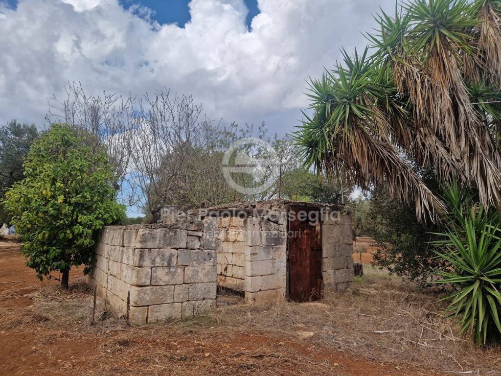 Rustico / casale a Ostuni in Contrada Guappi Falghero - Foto 3