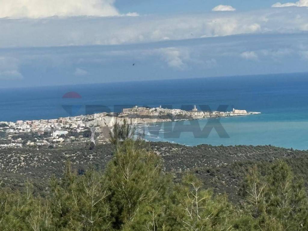 Villa a Vieste in Località Lama Le Canne, 1 - Foto 2
