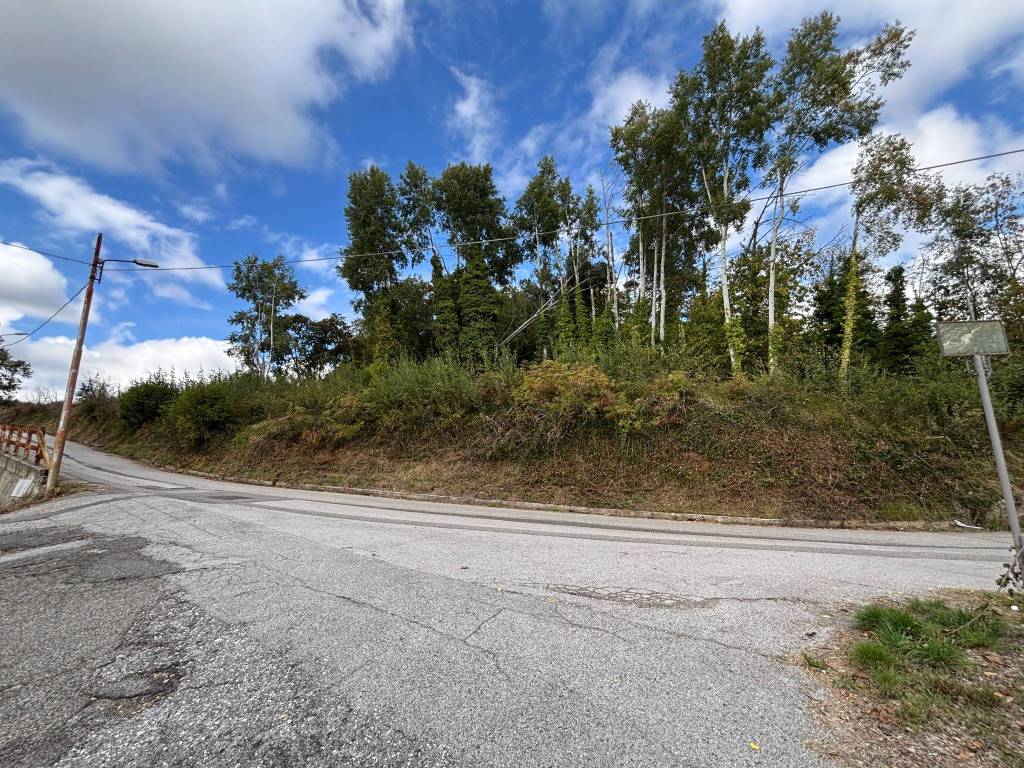 Terreno a Platania in Via Scavello - Foto 3