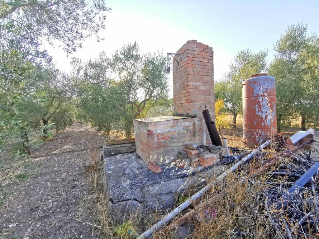 Terreno a Lucera in Contrada Bastia - Foto 5