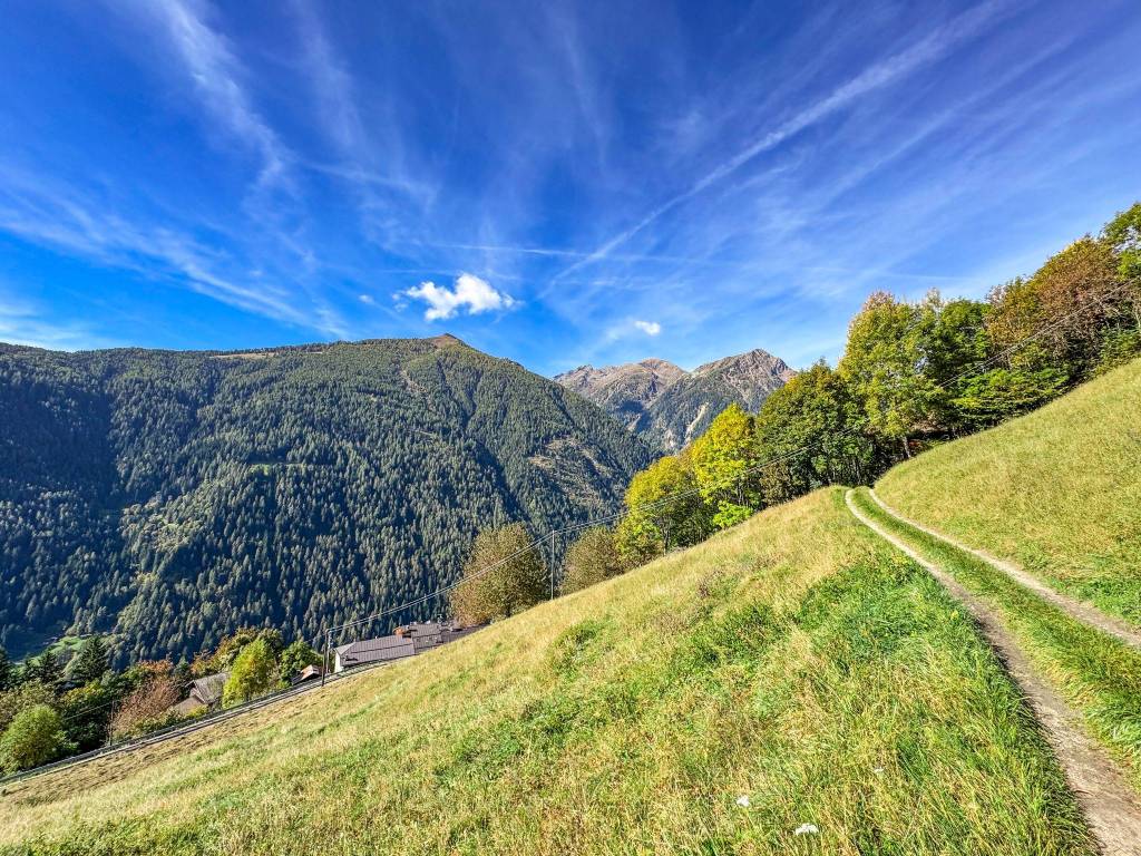 Rustico / casale a Rabbi in Frazione Pracorno - Foto 3