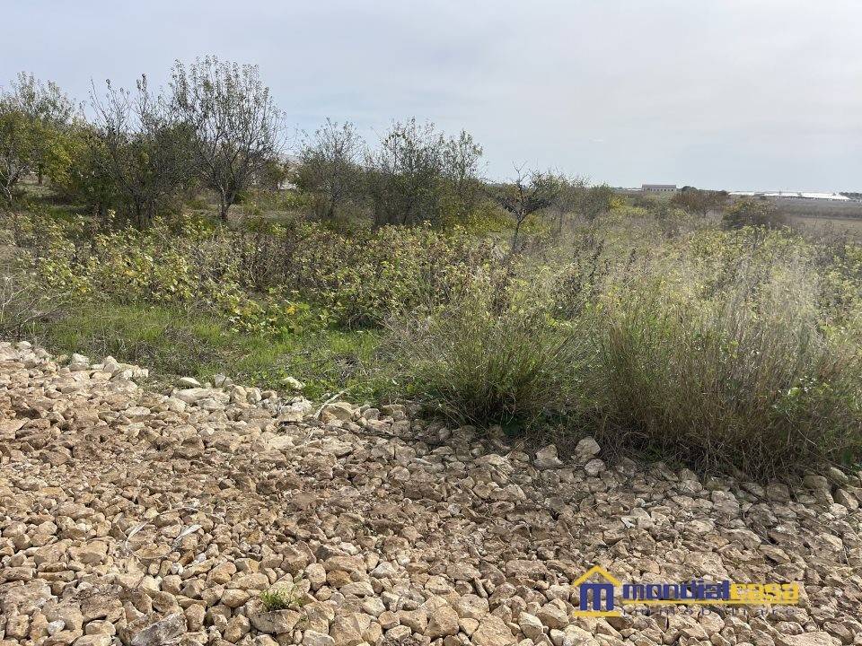 Terreno a Noto in C.da Burgio Fontanelle - Foto 2