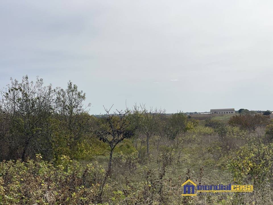Terreno a Noto in C.da Burgio Fontanelle - Foto 3