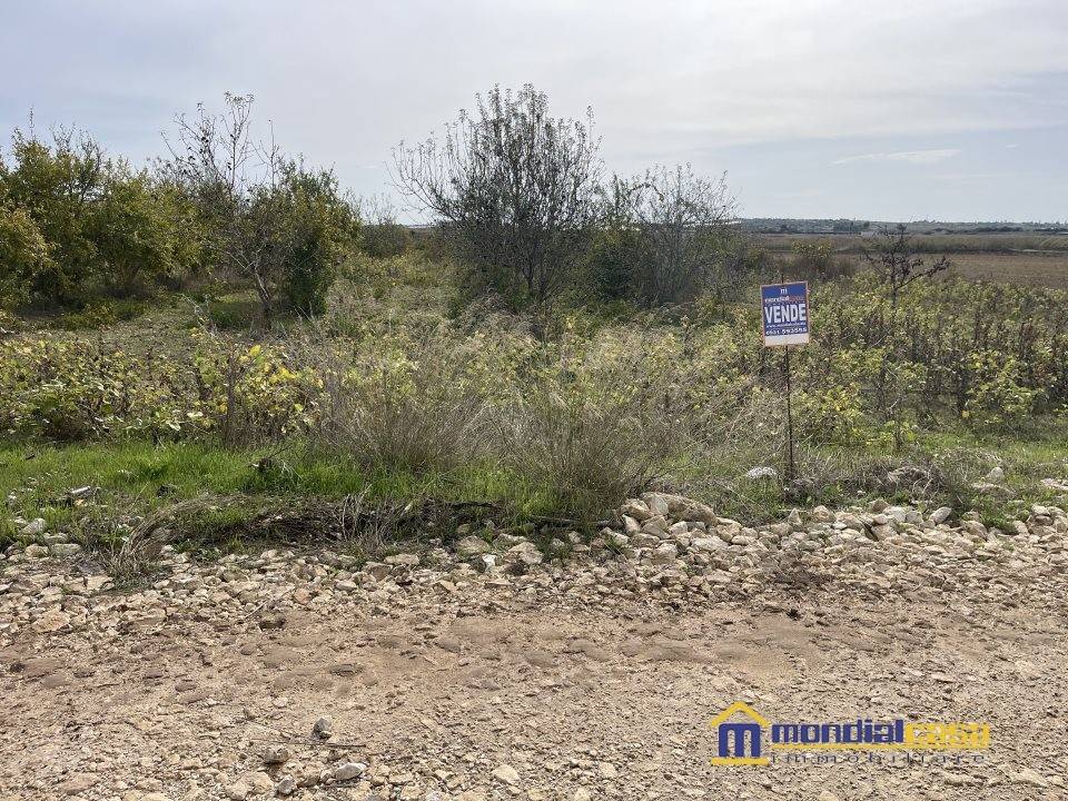 Terreno a Noto in C.da Burgio Fontanelle - Foto 4