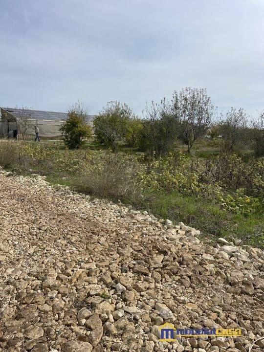 Terreno a Noto in C.da Burgio Fontanelle - Foto 5