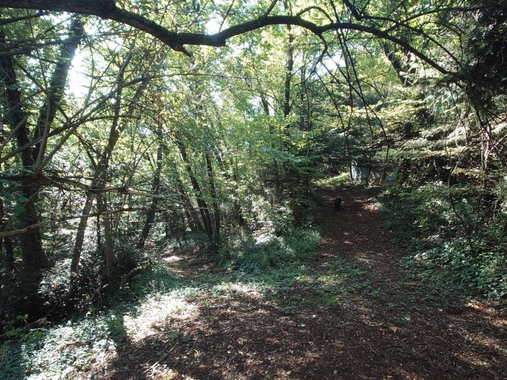 Terreno a Verona in Via Are Zovo - Foto 2