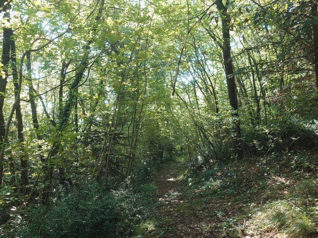 Terreno a Verona in Via Are Zovo - Foto 4