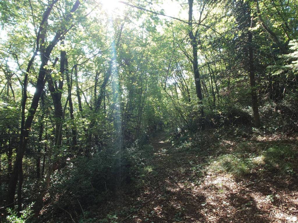 Terreno a Verona in Via Are Zovo - Foto 5