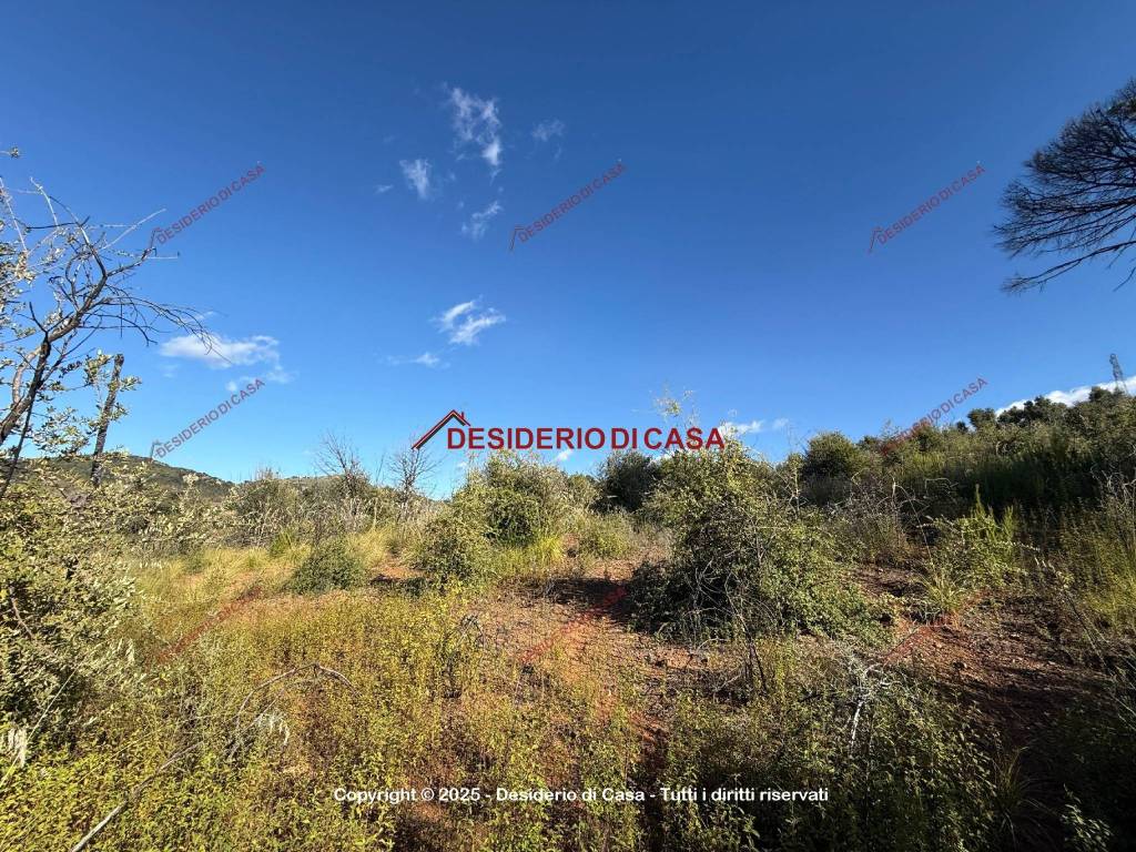 Villa a Gratteri in Contrada Rapputi - Foto 2