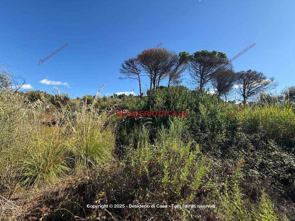 Villa a Gratteri in Contrada Rapputi - Foto 3