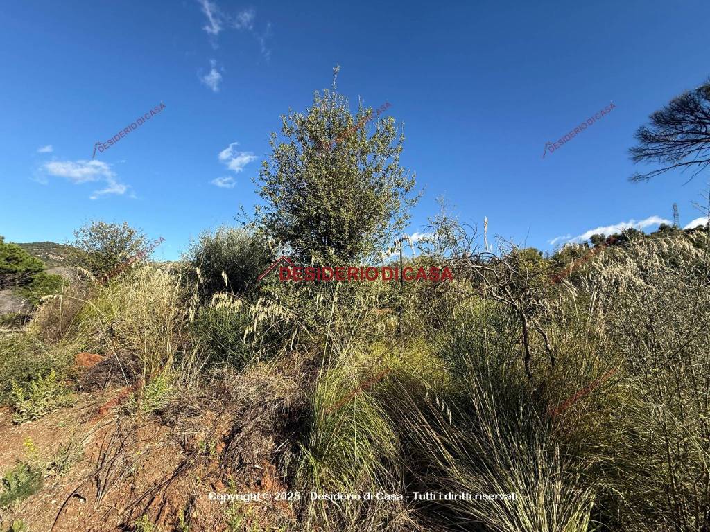 Villa a Gratteri in Contrada Rapputi - Foto 4