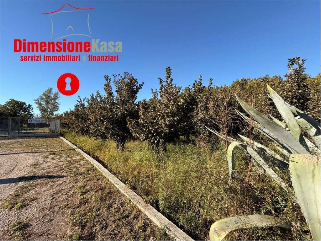 Terreno a Cimitile in Via Gramsci, 72 - Foto 3