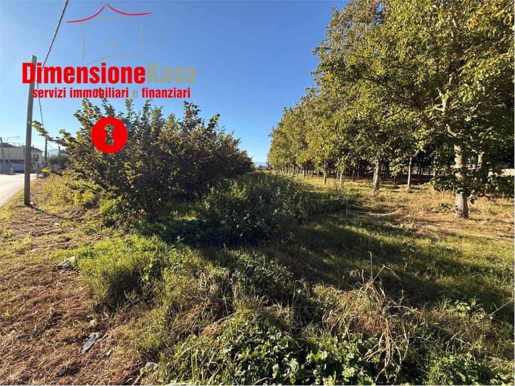 Terreno a Cimitile in Via Gramsci, 72 - Foto 5