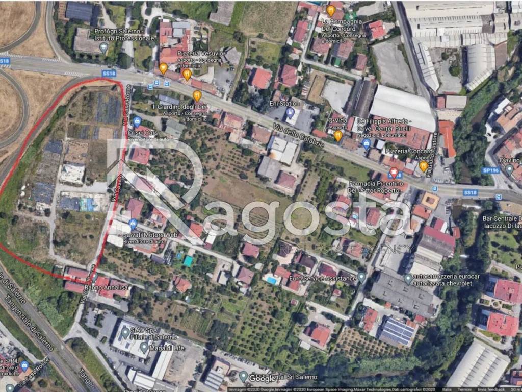 immagine di copertina