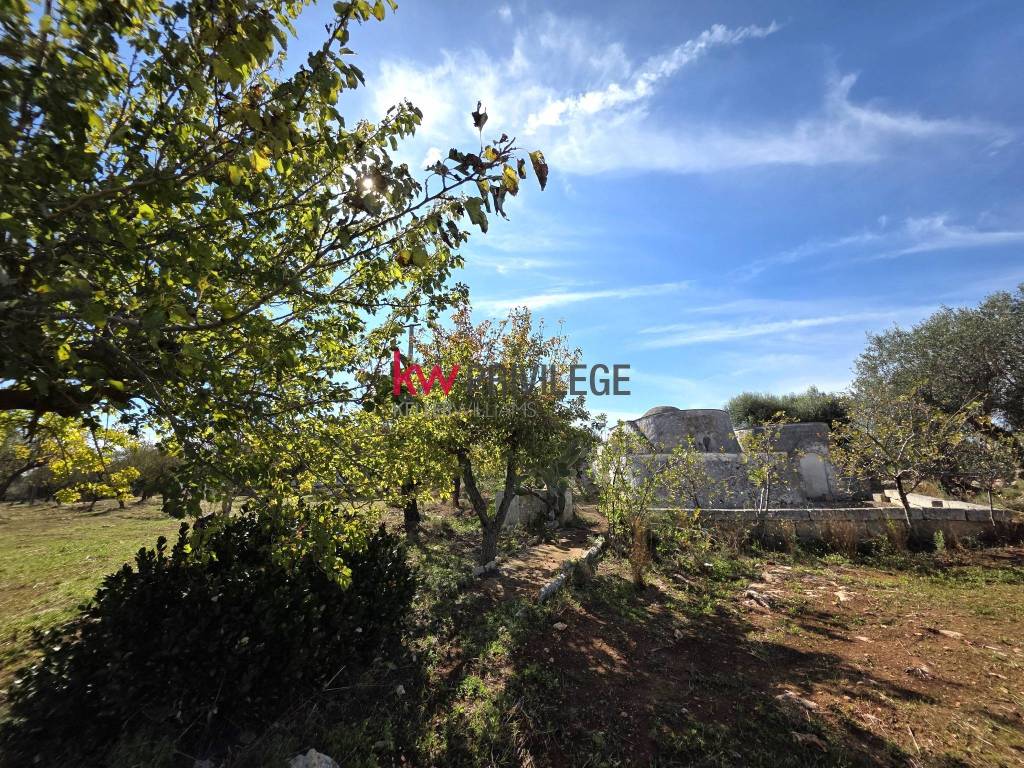 Rustico / casale a Ostuni - Foto 5