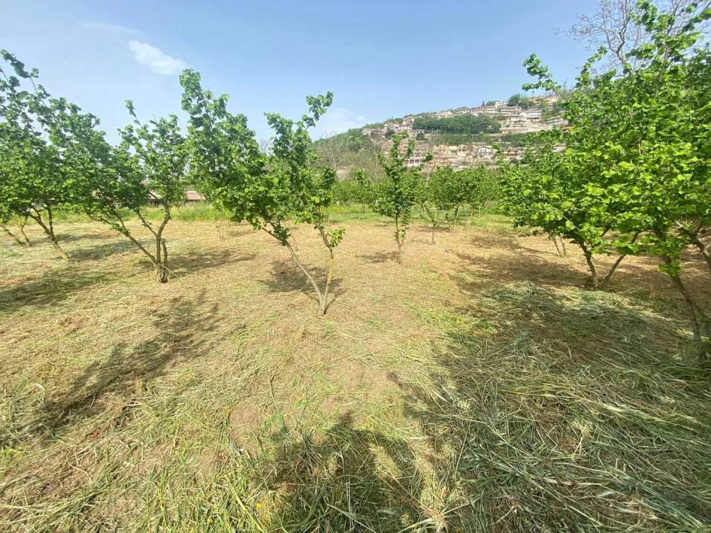 Terreno a Fisciano in Via Vignadonica No Number - Foto 3