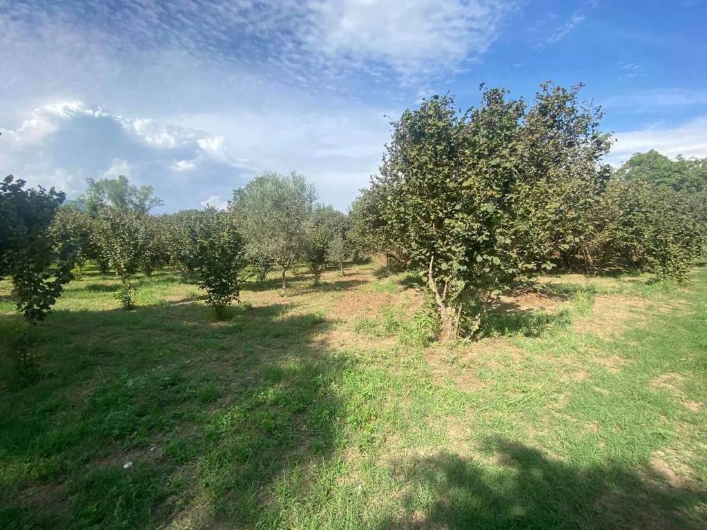 Terreno a Montoro in Misciano No Number - Foto 4