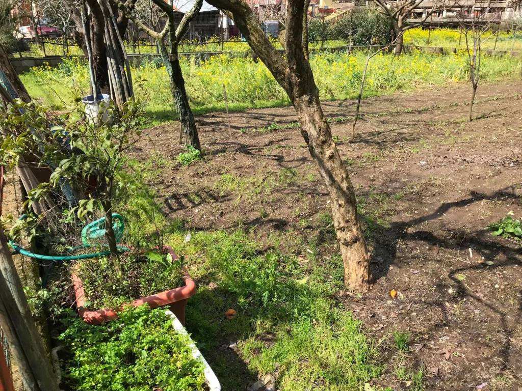 Terreno a Baronissi in Via Ferreria No Number - Foto 3