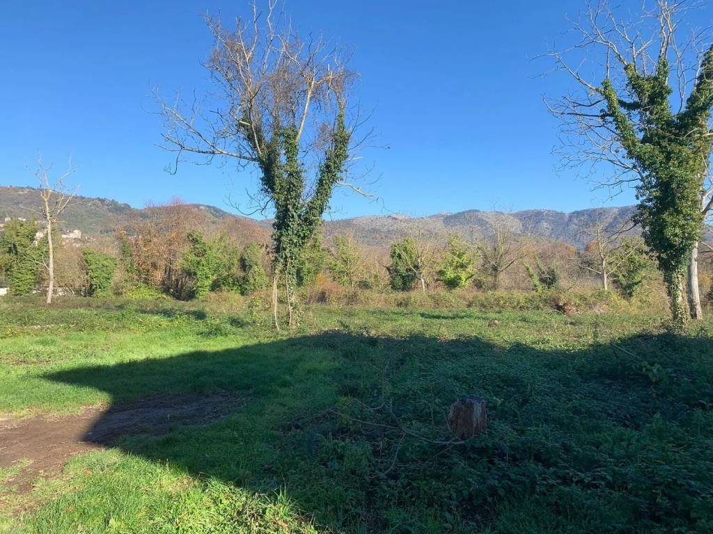 Terreno a Palestrina in Via Santa Maria No Number - Foto 5