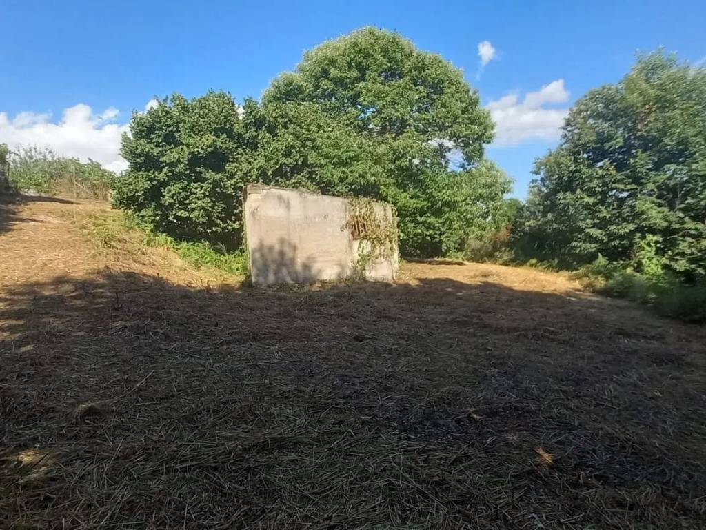 Rustico / casale a Palestrina - Foto 2