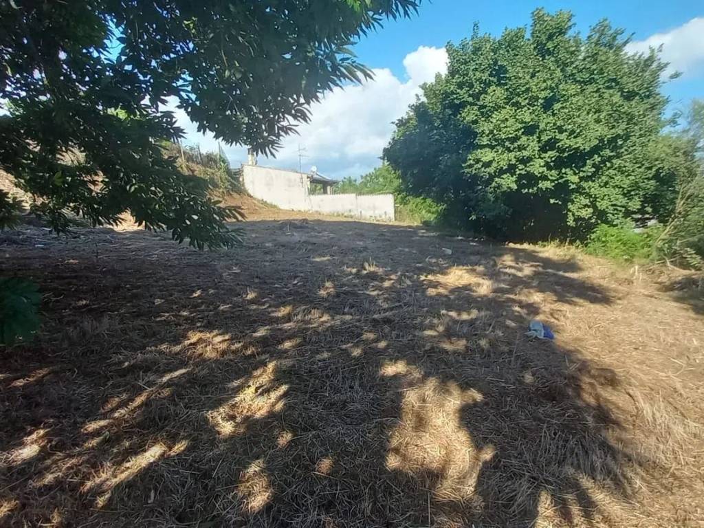 Rustico / casale a Palestrina - Foto 3