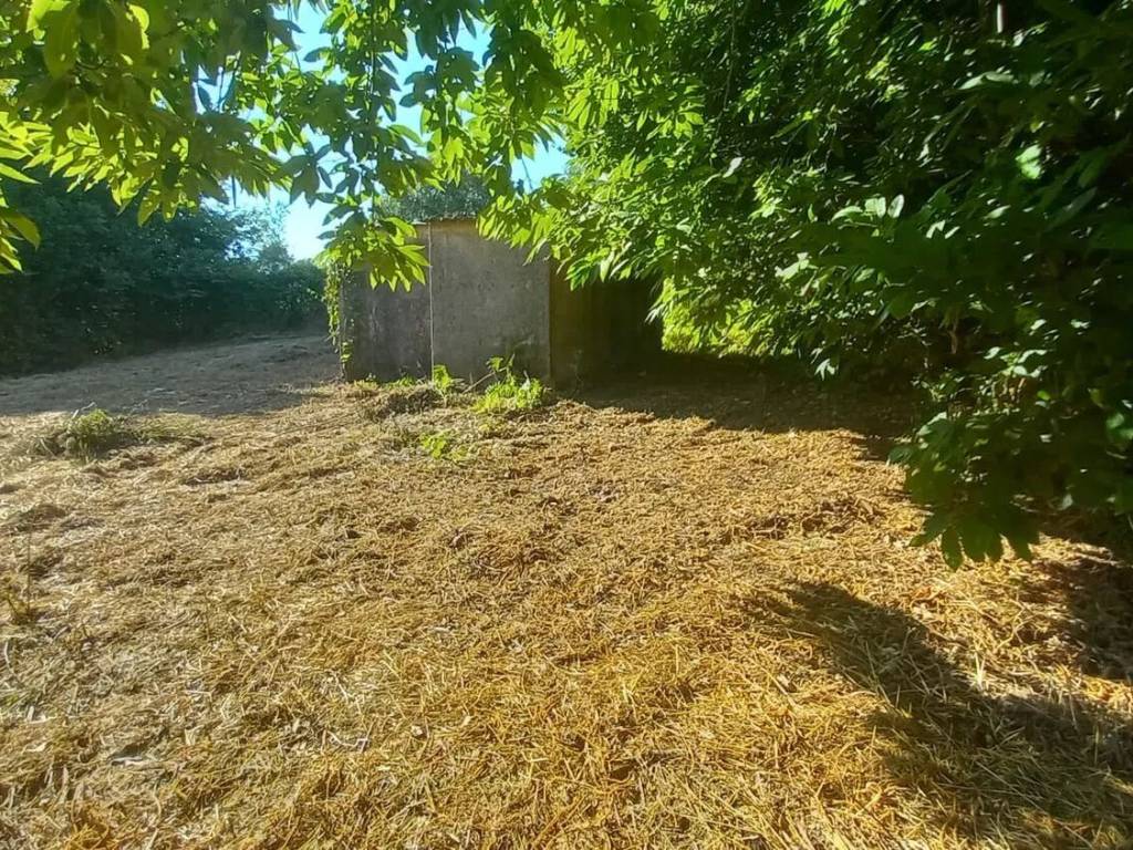 Rustico / casale a Palestrina - Foto 5