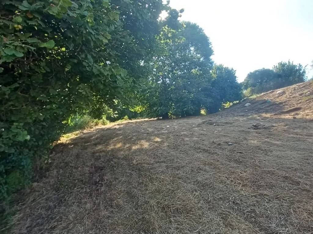Rustico / casale a Palestrina in Via Mezza Selva No Number - Foto 2