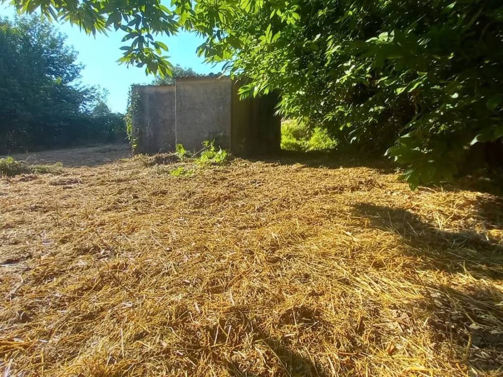 Rustico / casale a Palestrina in Via Mezza Selva No Number - Foto 5