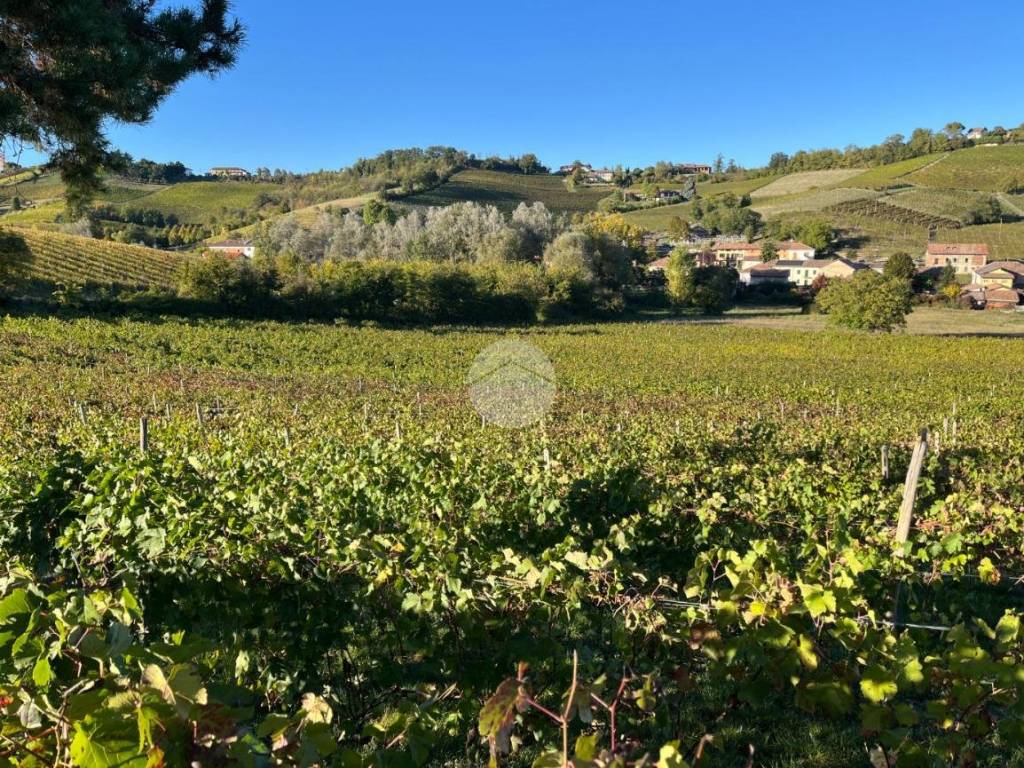 Terreno a Calamandrana in San Giovanni, 77 - Foto 4