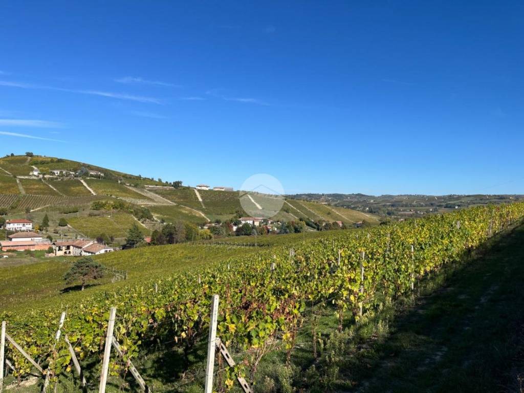 Terreno a Calamandrana in San Giovanni, 77 - Foto 5