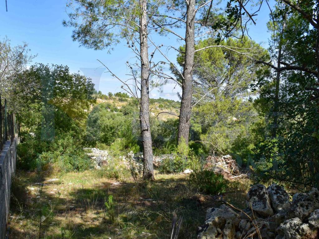 Villa a Noto in Via Tommaso Fazello, 228 - Foto 4