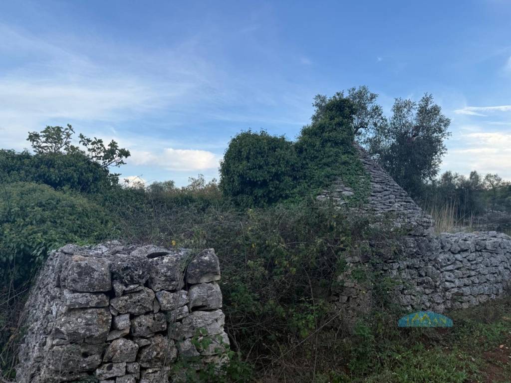 Rustico / casale a Ceglie messapica in Contrada Fedele Grande - Foto 2