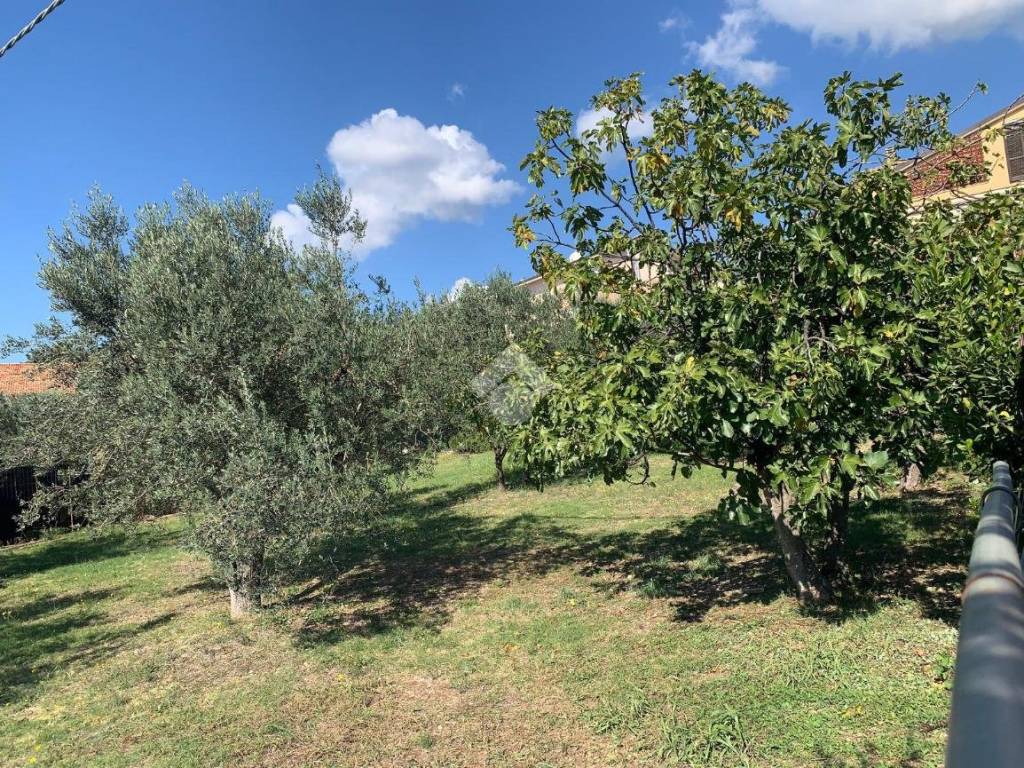 Terreno a Terni in Strada del Cerqueto - Foto 5