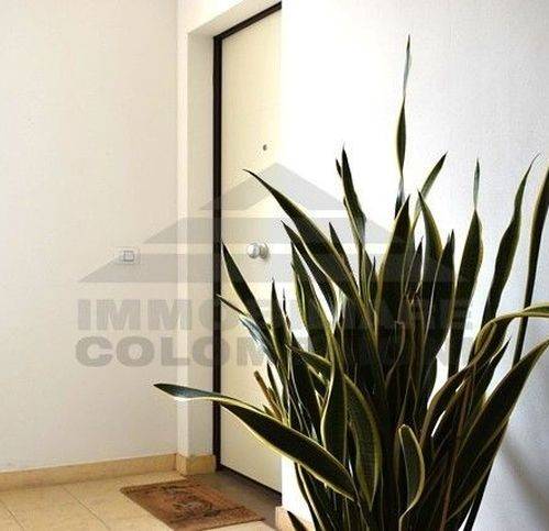 Appartamento a Rosignano marittimo in Via Angelo Poliziano 17 - Foto 3