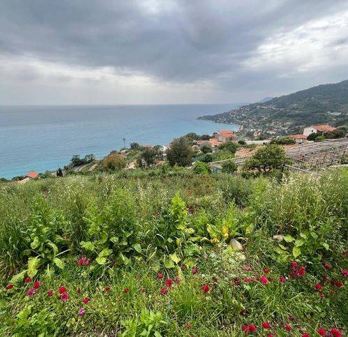 Terreno a Ventimiglia in Località Le Ville - Foto 2