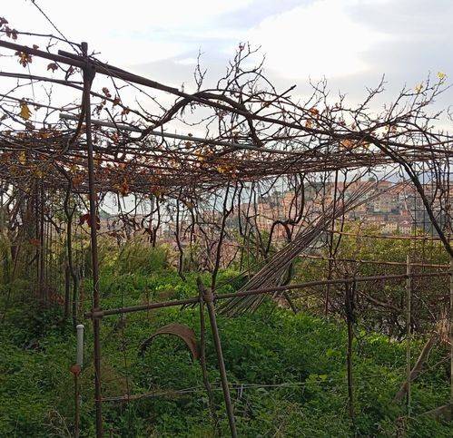 Terreno a Ventimiglia in Via Gianchette - Foto 2