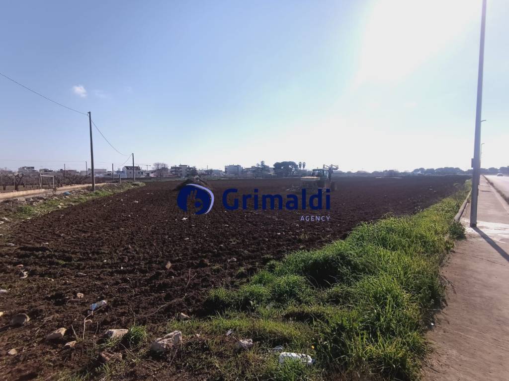 Terreno a Casamassima - Foto 2