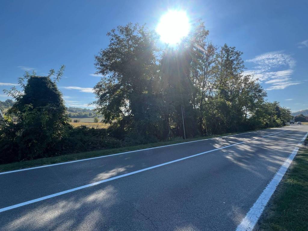 Terreno a Valsamoggia in Strada Provinciale Valle del Samoggia - Foto 4