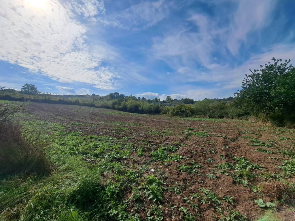 Terreno a Melizzano in Via Aldo Moro - Foto 5