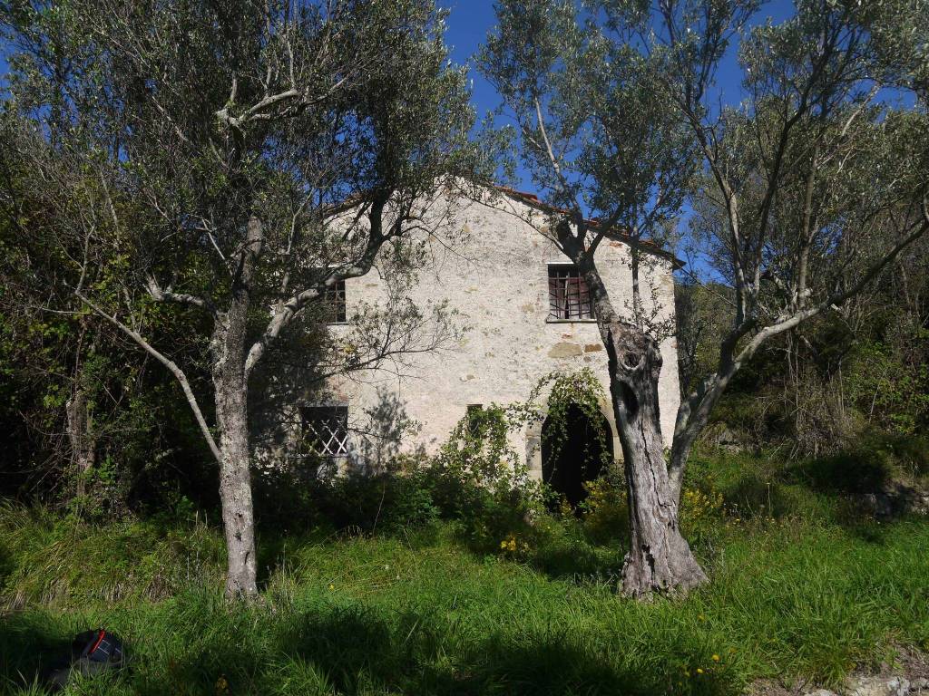 Rustico / casale a Castelnuovo magra in Via Provinciale - Foto 5