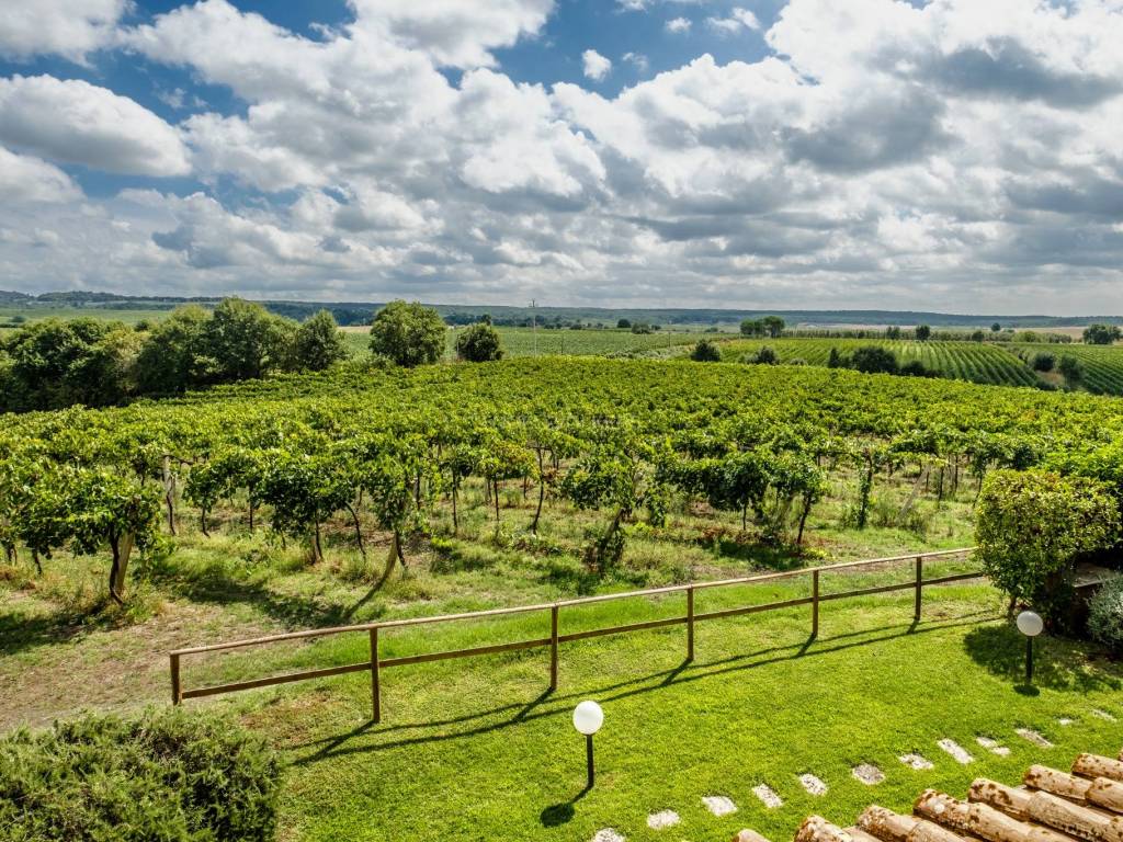 Rustico / casale a Pitigliano in Strada della Formica - Foto 5